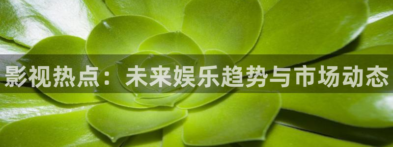 草莓视频免费入口